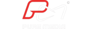 Logo Pure Media